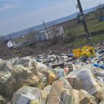 Amenda de 30000 de lei pentru deseurile abandonate pe domeniul public in comuna Sascut
