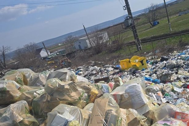 Amenda de 30000 de lei pentru deseurile abandonate pe domeniul public in comuna Sascut