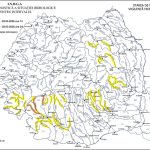 Cod galben de inundatii pe mai multe rauri din bazinul hidrografic Siret