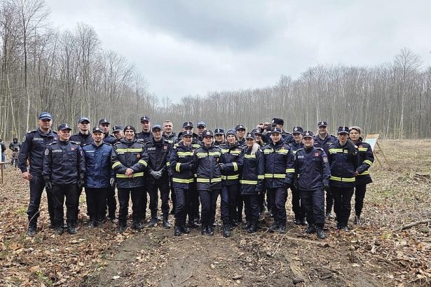 Pompierii din Bacau au participat la o actiune de plantare a copacilor in cadrul Ocolului Silvic Fantanele