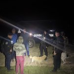 Barbat salvat de jandarmi dupa ce a dat peste un urs intr o padure din Faraoani