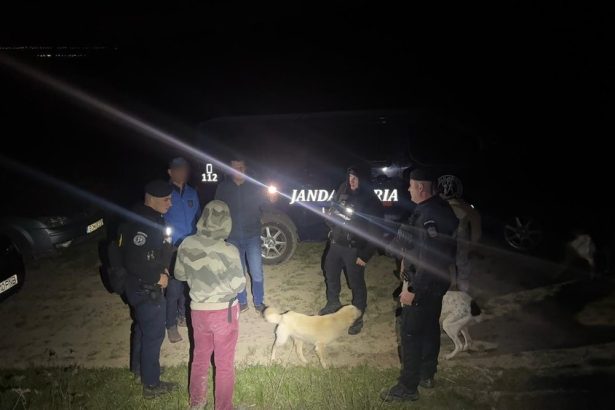 Barbat salvat de jandarmi dupa ce a dat peste un urs intr o padure din Faraoani