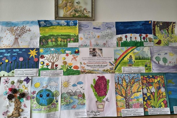 Cuvant copil carte concurs judeean la Scoala Gimnaziala Nicolae Iorga din Bacau