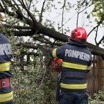 Pompierii actioneaza in diverse zone pentru a elimina efectele vantului puternic