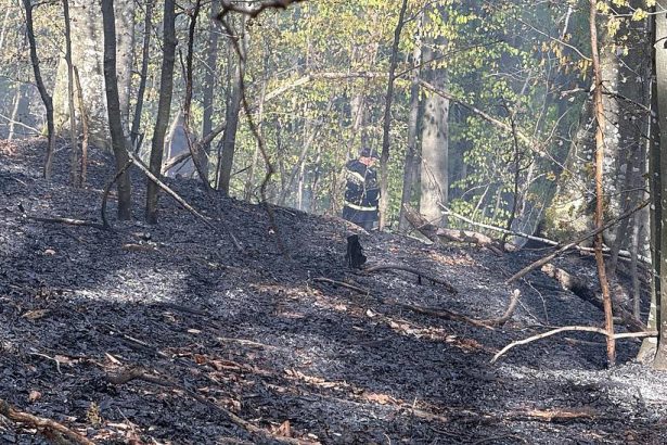 incendiu de vegetaie uscat n poiana srata pompierii au intervenit pentru a controla extinderea flcrilor
