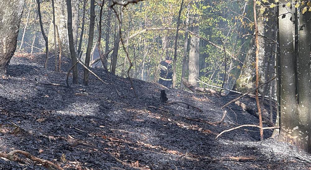 incendiu de vegetaie uscat n poiana srata pompierii au intervenit pentru a controla extinderea flcrilor