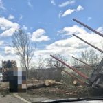 remorca plina cu busteni rasturnata pe dn12a intre onesti si targu trotus trafic perturbat fara victime