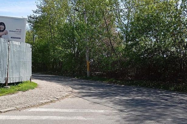vizibilitate deficitar la intersecia dintre aleea parcului i strada constantin ene