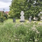 Balarile au acaparat strada Shoimului din Bacau