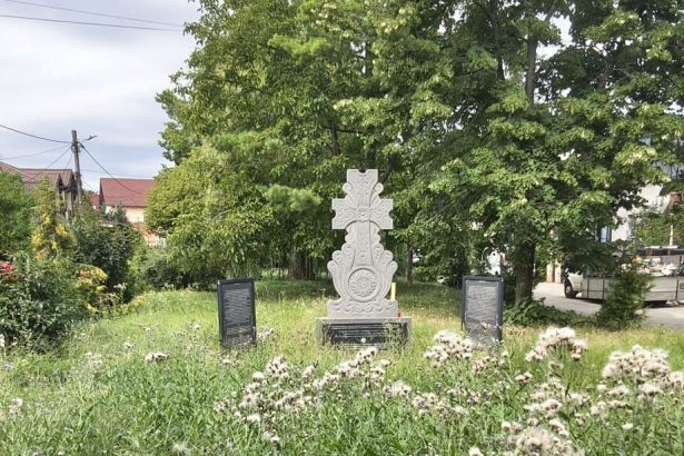 Balarile au acaparat strada Shoimului din Bacau