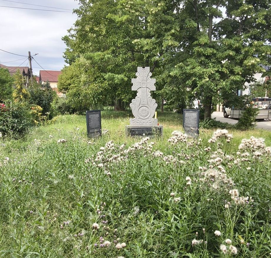 Balarile au acaparat strada Shoimului din Bacau