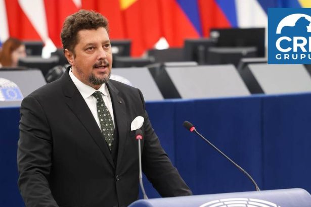 Claudiu Tarziu intreaba Cine suporta costurile mamutului AI de la Cernavoda