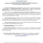 Comunicat de mass media 2