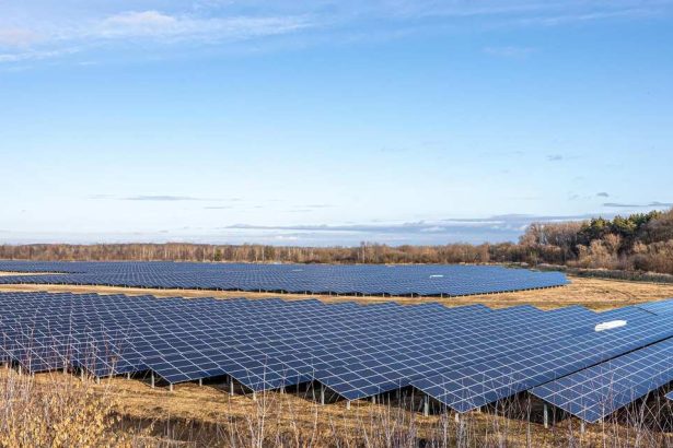 Consiliul Judetean Bacau a emis ordinul pentru demararea proiectarii parcului fotovoltaic din Saucesti