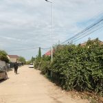 Eco pana la final