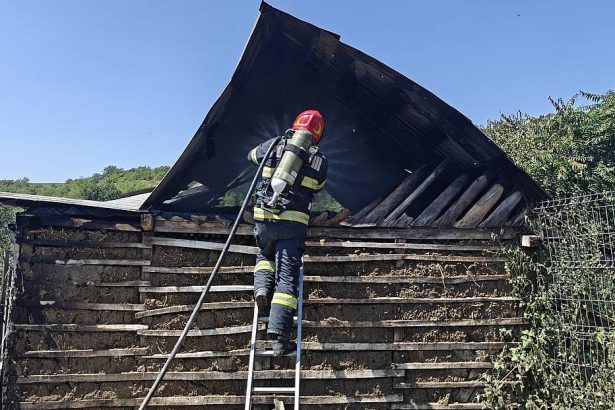 Incendiu devastator la o locuinta din comuna Pancesti Casa a fost complet distrusa