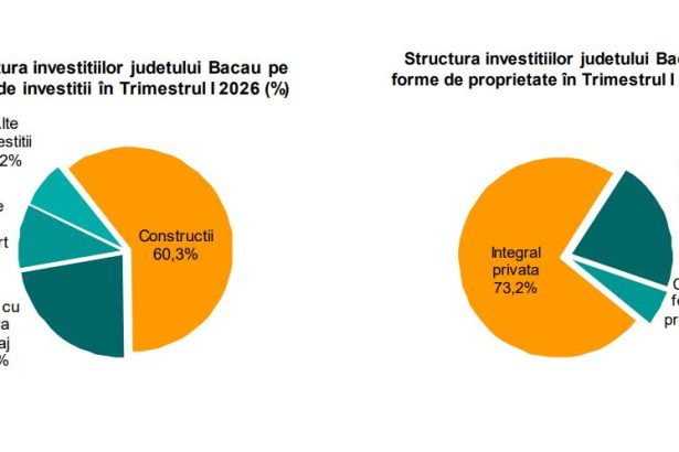 Investitiile in judetul Bacau au scazut cu peste 31 in prima trimestru din 2026