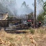 Noua incendii de vegetatie uscata intr o singura zi in judetul Bacau Pompierii au crescut capacitatea operationala