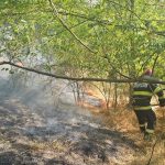 incendiu de vegetaie uscat n viisoara patru hectare au fost incendiate