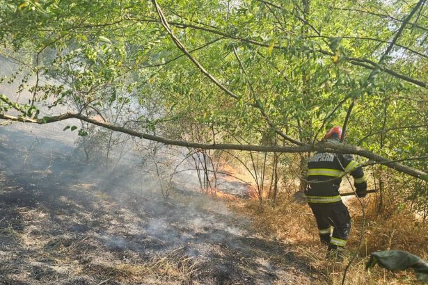incendiu de vegetaie uscat n viisoara patru hectare au fost incendiate