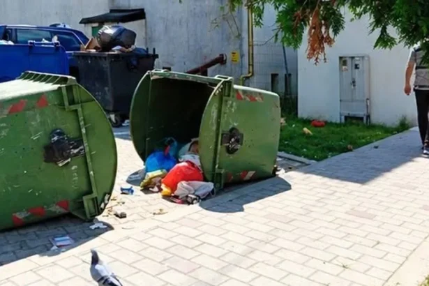 Buhuși, amendat cu 120.000 lei de autoritățile de mediu pentru deșeuri