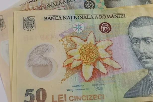 Bursele sociale se mențin și în vacanțe. Guvernul păstrează regula în noua metodologie