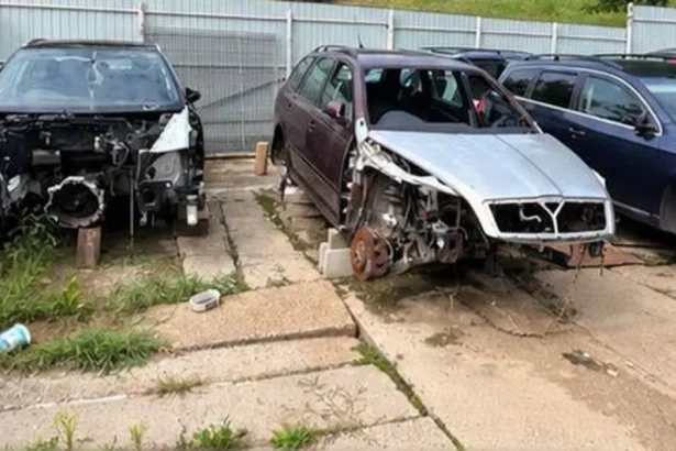 Dezmembrare auto ilegală la Dărmănești: amendă 10.000 lei, 25 de vehicule găsite