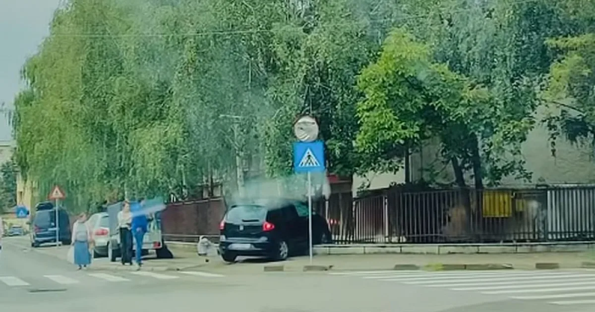 Stâlpi metalici pentru protejarea pietonilor. Zona vizată: Școala „Mihail Sadoveanu”