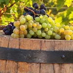 Toamna a sosit, aducând culori calde și aer răcoros peste oraș