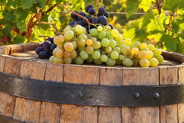 Toamna a sosit, aducând culori calde și aer răcoros peste oraș