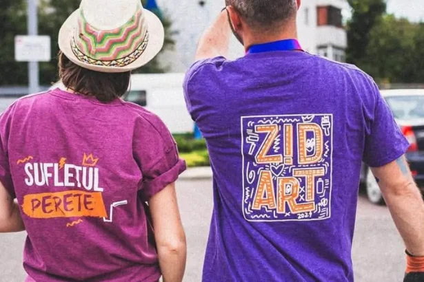 ZIDART nu va avea loc în 2026: Festivalul revine în 2027