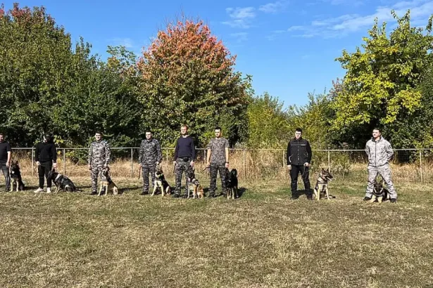 Echipele canine de intervenție din Bacău, instruite împreună