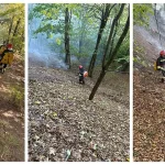 Incendiu în pădurea Dofteana. Pompierii intervin pentru stingerea focarelor