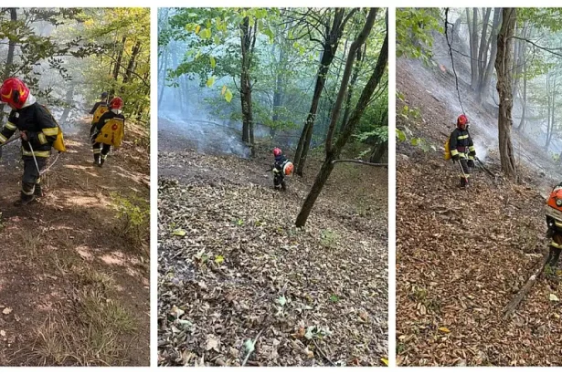 Incendiu în pădurea Dofteana. Pompierii intervin pentru stingerea focarelor