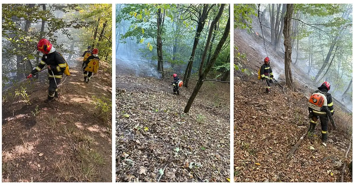 Incendiu în pădurea Dofteana. Pompierii intervin pentru stingerea focarelor