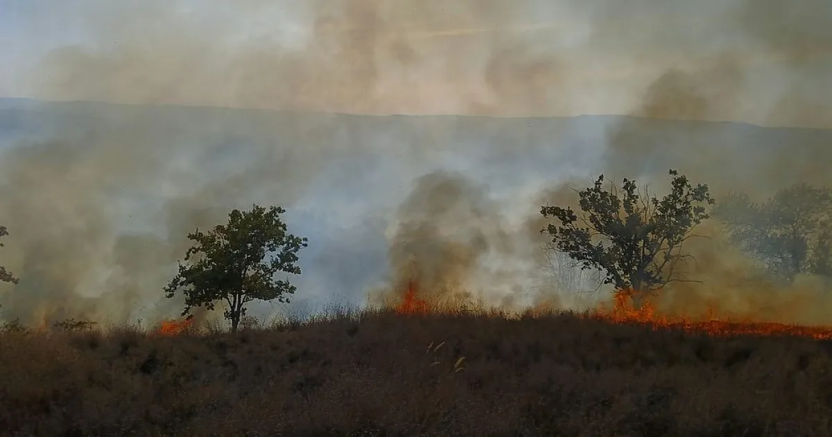 Incendiu puternic în Dealu Morii: circa 50 de hectare de vegetație mistuite de flăcări