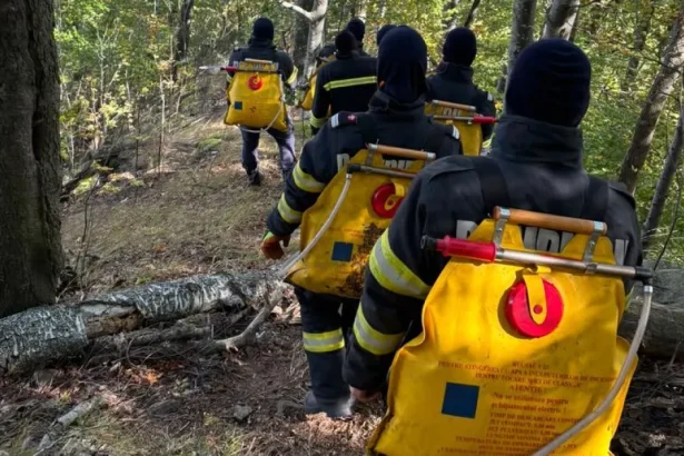 Incendiul de la Dofteana, în a șasea zi. Pompierii continuă lupta în zona Cucuieți