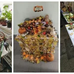 Liceul „Petru Rareș” din Bacău marchează Ziua Mondială a Alimentației